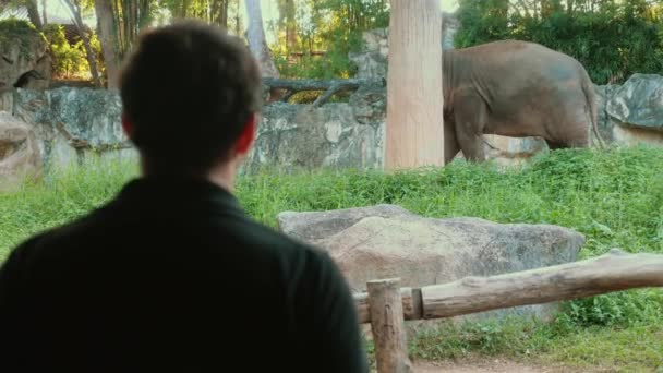 Вид Сзади Человека Любующегося Большим Слоном Национальном Парке Сафари Посреди — стоковое видео