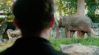 Safari Tecrübesi. Turist Asya safari parkında vahşi fili izliyor. Tropikal milli parkta görkemli memelilerle doğa macerası.