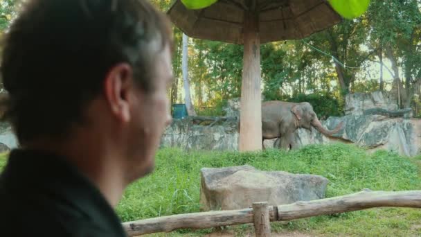 Приключения Сафари Человек Встречает Дикого Слона Азиатском Зоопарке Турист Изучает — стоковое видео