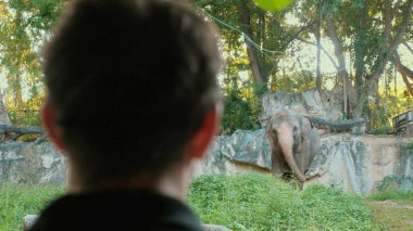 Erkek turist Tayland ulusal parkında vahşi memelileri izliyor. Doğadaki macera, doğal ortamındaki vahşi hayatı gözlemlemek.