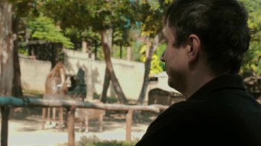 Turist hayvanat bahçesinde zürafa izliyor. Yeşil bozkırda uzun Afrika memelileriyle yakın temas. Vahşi yaşam turizmi ve doğa değerlendirmesi kavramı.