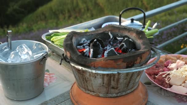근처에 고기와 배경에 바베큐 그릴에 뜨거운 불타는 숯불의 클로즈업 신선한 — 비디오