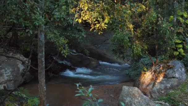 Pequena Cachoeira Cascata Exuberante Floresta Tropical Água Fluindo Sobre Rochas — Vídeo de Stock