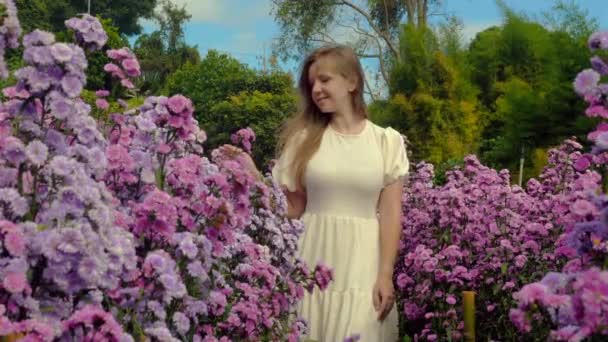 春日阳光明媚 身穿白衣的年轻女子走过紫罗兰花盛开的田野 植物背景 美丽的自然 新鲜空气 美的概念 — 图库视频影像
