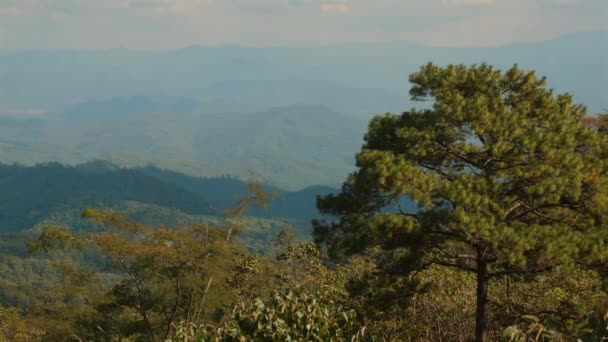 Vista Panorâmica Silhuetas Montanhosas Camadas Sob Céu Azul Com Árvores — Vídeo de Stock
