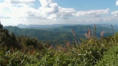 Mavi gökyüzünün altında, önplanda yabani otlar, doğa ve manzaralarla çevrili, yemyeşil dağ sırasının panoramik görüntüsü..