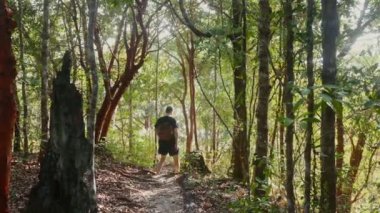 Sırt çantalı bir adam, güneş ışığı altında yemyeşil yemyeşil ile çevrili dar bir yolda sık ormanlarda geziniyor. Macera seyahati ve keşfi.