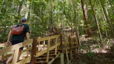 Sırt çantalı bir adam yemyeşil ormanda yürüyüş yapıyor. Yoğun bitki örtüsüyle çevrili ahşap merdivenlere tırmanıyor. Açık hava macerası ve eko-turizm.