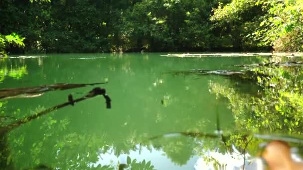 Lagoa Água Doce Tranquila Cercada Por Vegetação Exuberante Ambiente Natural — Vídeo de Stock