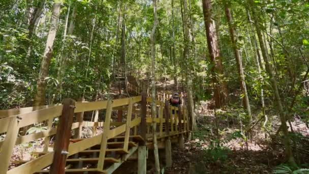 Homem Com Mochila Caminhando Pela Exuberante Floresta Verde Escadas Madeira — Vídeo de Stock