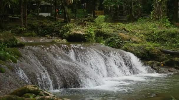 Cachoeira Tranquila Floresta Cercada Por Vegetação Natureza Serenidade — Vídeo de Stock