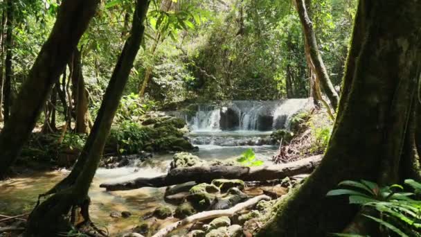Cascada Serena Exuberante Bosque Tropical Naturaleza Tranquilidad — Vídeo de stock