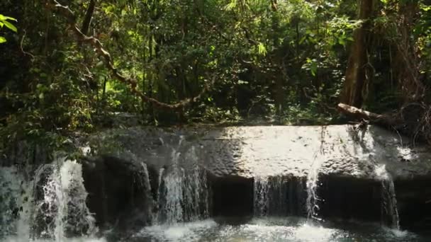 Cascada Tranquila Bosque Tropical Denso Naturaleza Serenidad — Vídeo de stock