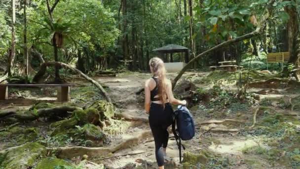 Kobieta Plecakiem Wędrująca Leśnym Szlakiem Przygoda Podróże — Wideo stockowe