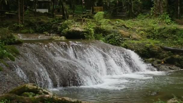 Cachoeira Serena Cenário Exuberante Floresta Paisagem Natural — Vídeo de Stock