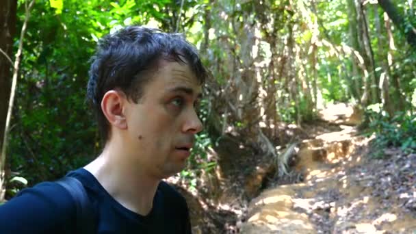 Adventurous Man Pausing Observe While Trekking Dense Tropical Forest Experiencing — Wideo stockowe