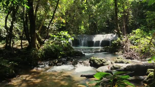 茂密的热带森林中不停的瀑布 自然与宁静 — 图库视频影像