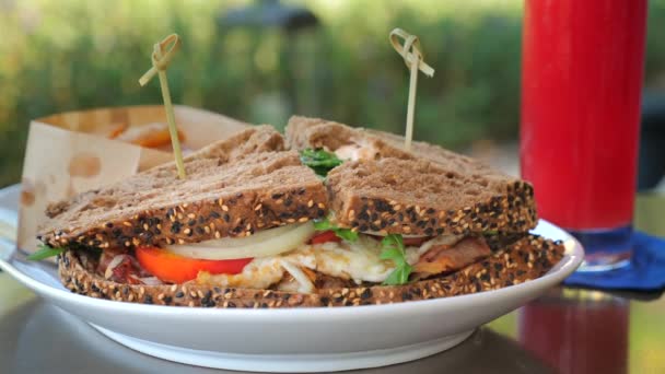 户外环境下 新鲜蔬菜三明治 全麦面包上有烤鸡肉 盘中餐 健康饮食的美味和有营养的膳食选择 健康食品和生活方式 — 图库视频影像