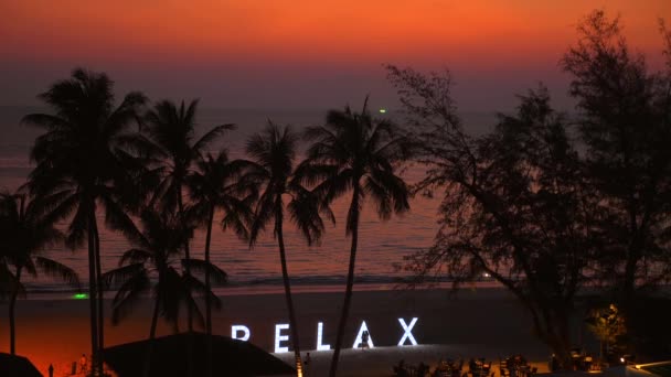 Τροπικό Ηλιοβασίλεμα Στην Παραλία Σιλουέτα Από Φοίνικες Και Φωτεινή Πινακίδα — Αρχείο Βίντεο