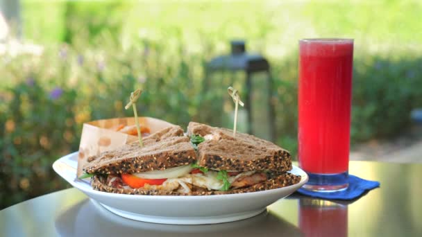 Outdoor Informele Eetervaring Met Voedzame Sandwich Vers Sap Zonnige Dag — Stockvideo