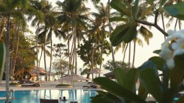 Gün batımında palmiye ağaçlarıyla çevrili sakin havuz kenarlı lüks bir tropikal tatil köyü. Tatil ve huzurlu bir atmosferle seyahat yeri. Dinlenme ve tatil yaşam tarzı.