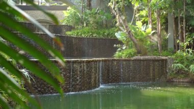 Bereketli yeşilliklerle çevrili tropik bahçe vahasında sakin bir şelale. Doğal manzara ve rahatlama.