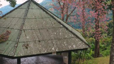 Huzurlu, yağmurlu çatılı kırsal bir çardak, yemyeşil ve canlı pembe çiçeklerin zeminine kurulmuş, huzurlu doğal park ortamlarına yerleşmiş. Doğa ve Huzur.