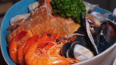 Mavi Tabakta Taze Deniz Ürünleri Tabağı, Istakoz, Karides, Midye ve Midye, Maydanozla süslenmiş, Gurme Yemekleri ve Mutfak Sunumu İçin Mükemmel. Deniz ürünleri ve gastronomi.