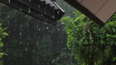 Çatı kenarlarından yağan sağanak yağış arka planda yemyeşil yapraklar. Yağmurlu havalarda doğa sahnesi. Sağanak yağmurlu karanlık ve kasvetli bir atmosfer.