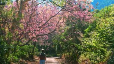 Çiçek açan kiraz ağaçlarıyla çevrili yolda yürüyen ve açık havanın, berrak mavi gökyüzünün, doğa ve sükunetin ve huzurun tadını çıkaran kişi..