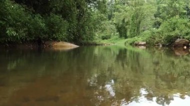 Yoğun orman, yemyeşil suları yansıtan sakin bir nehri çevrelemektedir. Büyük kayalar sudan çıkarak doğal ayrıntı ekliyor. Sakin bir manzara huzur yayar, doğa ve açık hava temaları için mükemmeldir..