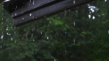 Yağmurlu bir günde çatıdan düşen yağmur damlalarının yakın planında yemyeşil ağaçlar var. Hava ve Doğa.