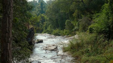 Serene natural waterfall flowing through lush green forest landscape, tranquil and picturesque scenery perfect for nature lovers. Nature and Tranquility. clipart