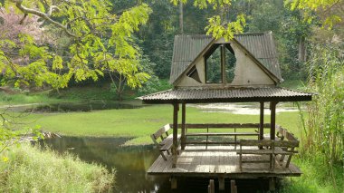Berrak göl kenarındaki sakin ahşap çardak, yemyeşil yemyeşil, barışçıl bir geri çekilme ve doğa takdiri için mükemmel. Huzur ve Doğa.
