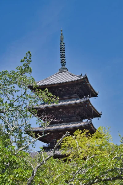 Die Fünfstöckige Pagode Ninna Tempel Kyoto Japan — Stockfoto