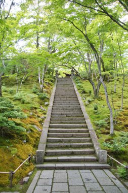 Jojakko-ji tapınağının merdivenleri. Kyoto Japonya