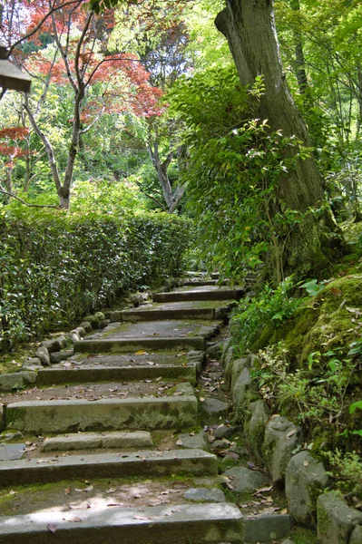 Σκάλες Του Ναού Jojakko Κυότο Ιαπωνία — Φωτογραφία Αρχείου