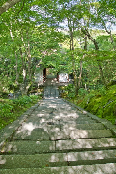 Las Escaleras Del Templo Jojakko Kioto Japón —  Fotos de Stock