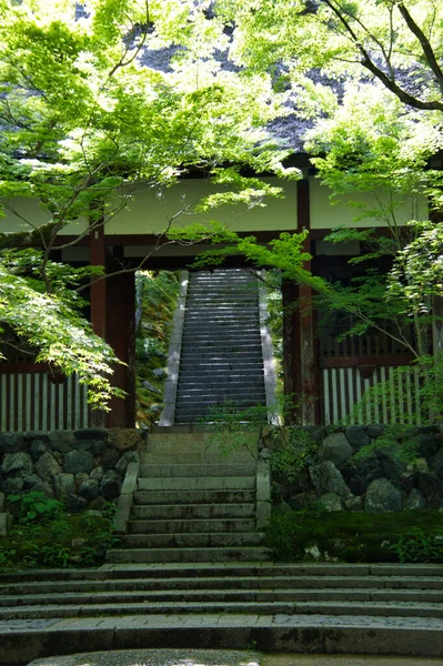 Сходи Храму Йоякко Дзі Кіото Японія — стокове фото
