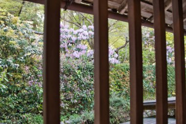 Pencere çerçevesinden Japon bahçesinin manzarası. Kyoto Japonya