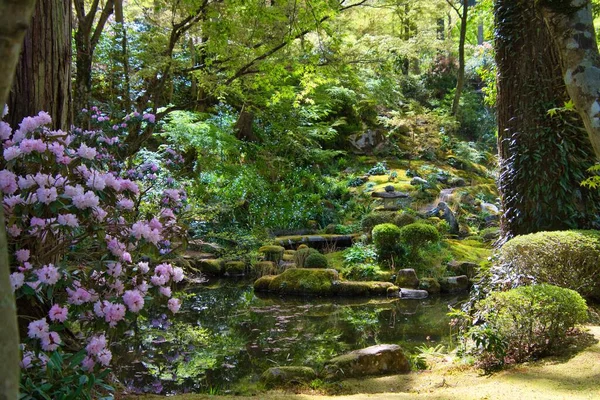 Der Ruhige Garten Und Teich Kyoto Japan — Stockfoto