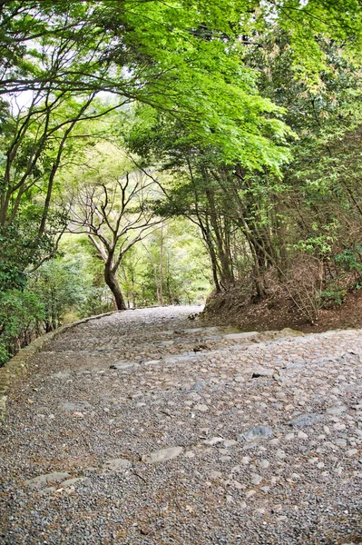 Una Larga Escalera Piedra Parque Arashiyama Kioto Japón — Foto de Stock