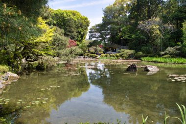 Japon bahçesi ve göleti. Kyoto Japonya 