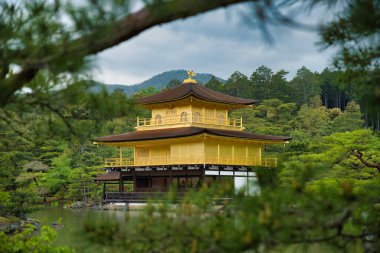 Kinkakuji Tapınağı 'nın Altın Köşkü. Kyoto Japonya 
