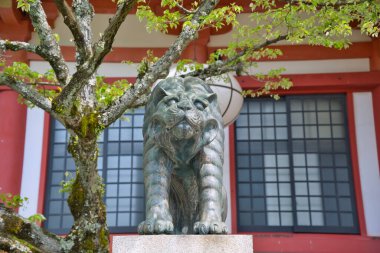 Kurama-Dera tapınağının önünde oturan kaplan şeklinde koruyucu bir köpek. Kyoto Japonya