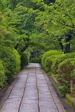 Taş kaldırım yolunun manzarası. Kyoto Japonya