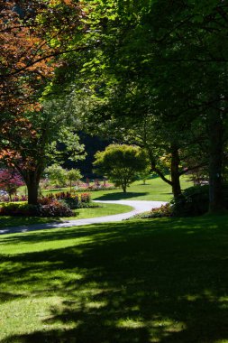 Bahçelerdeki patika manzarası. VanDusen Botanik Bahçeleri, Vancouver 