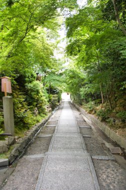 Ağaçlarla çevrili bir yaklaşım manzarası. Kyoto Japonya