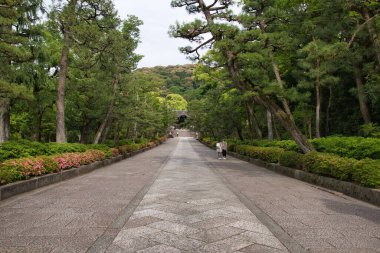 Ağaçlarla çevrili bir yaklaşım manzarası. Kyoto Japonya