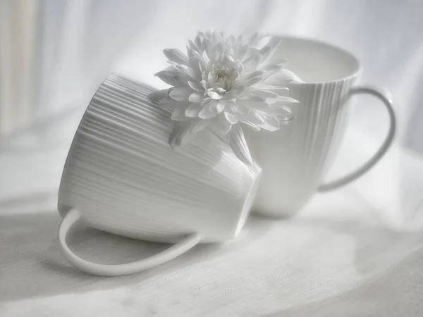 White Mug White Mug — Stock Photo, Image